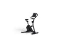 Schwinn Upright Bike 590