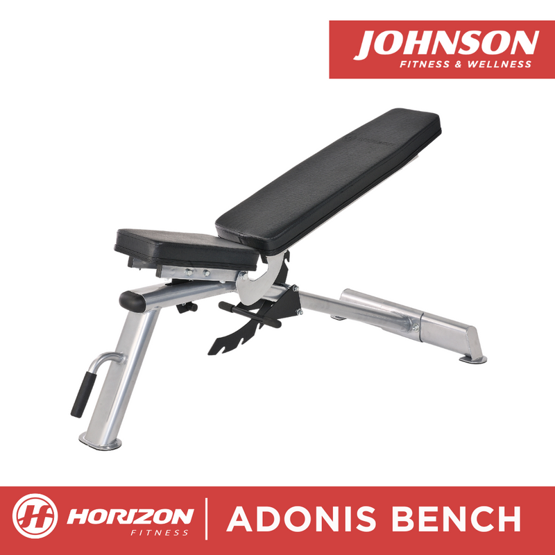 Horizon Adonis Weight Bench