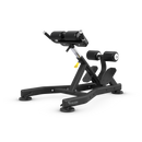VF Back Extension